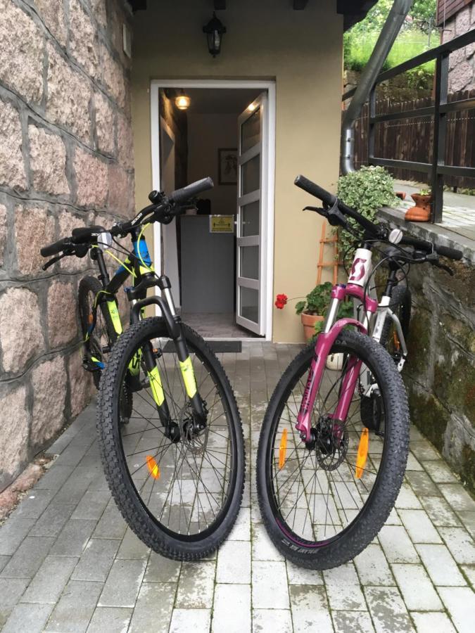 伯伊莱图什纳德Casa Karola Haz住宿加早餐旅馆 外观 照片